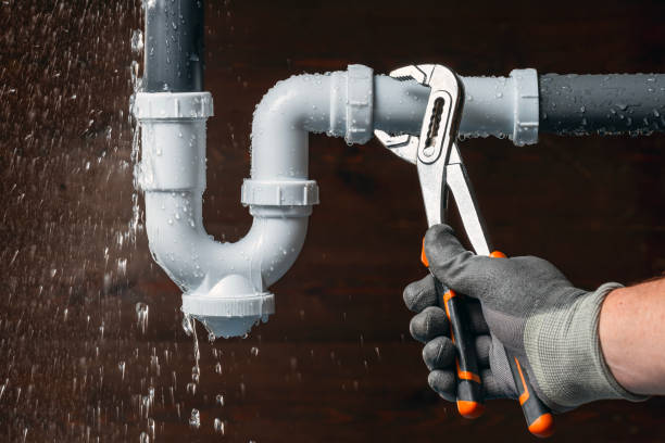 Professional Plumbing technician working in Dendron, VA